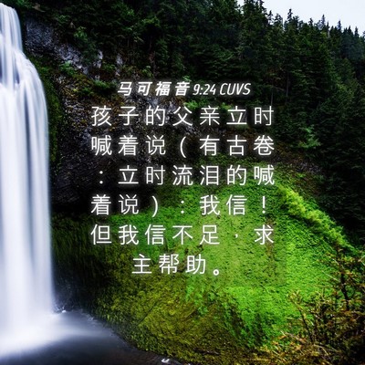 Picture 04 - 马 可 福 音 9:24 CUVS - 孩 子 的 父 亲 立 时 喊 着 说 （ 有 - Bible Verse Picture