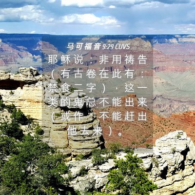 Picture 04 - 马 可 福 音 9:29 CUVS - 耶 稣 说 ： 非 用 祷 告 （ 有 古 卷 - Bible Verse Picture