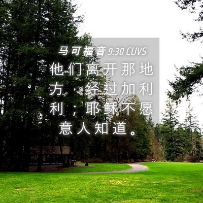 Picture 04 - 马 可 福 音 9:30 CUVS - 他 们 离 开 那 地 方 ， 经 过 加 利 - Bible Verse Picture