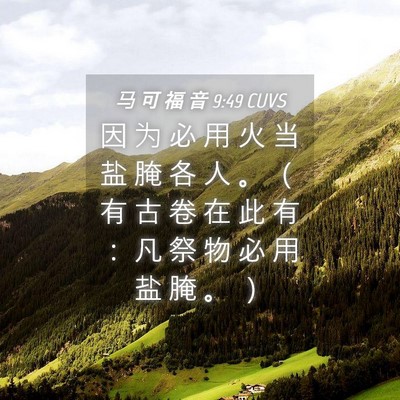 Picture 04 - 马 可 福 音 9:49 CUVS - 因 为 必 用 火 当 盐 腌 各 人 。 （ - Bible Verse Picture