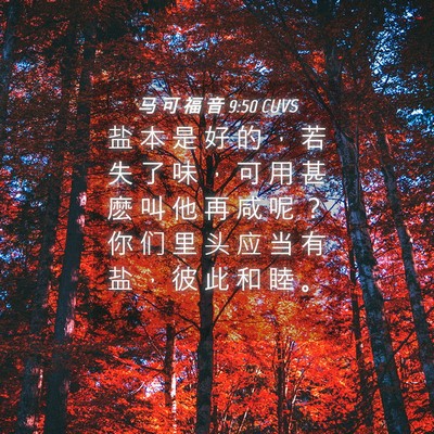 Picture 04 - 马 可 福 音 9:50 CUVS - 盐 本 是 好 的 ， 若 失 了 味 ， 可 - Bible Verse Picture