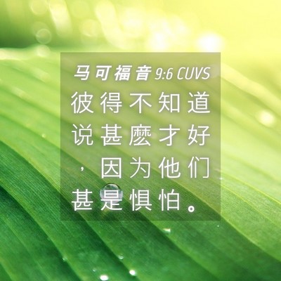 Picture 04 - 马 可 福 音 9:6 CUVS - 彼 得 不 知 道 说 甚 麽 才 好 ， 因 - Bible Verse Picture