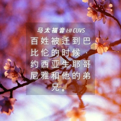 Picture 04 - 马 太 福 音 1:11 CUVS - 百 姓 被 迁 到 巴 比 伦 的 时 候 ， - Bible Verse Picture