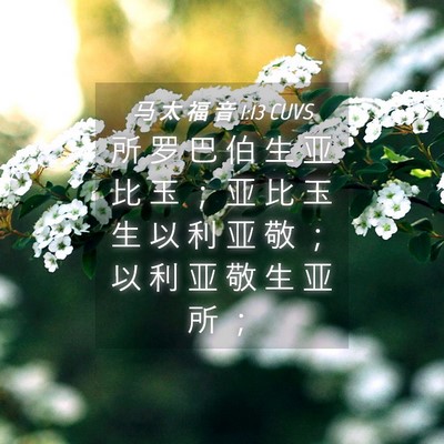 Picture 04 - 马 太 福 音 1:13 CUVS - 所 罗 巴 伯 生 亚 比 玉 ； 亚 比 玉 - Bible Verse Picture
