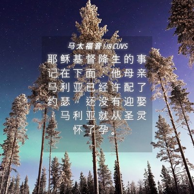 Picture 04 - 马 太 福 音 1:18 CUVS - 耶 稣 基 督 降 生 的 事 记 在 下 面 - Bible Verse Picture