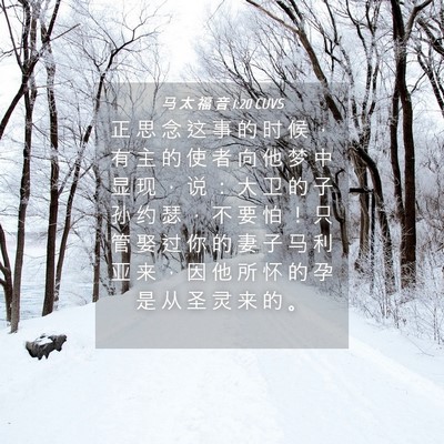 Picture 04 - 马 太 福 音 1:20 CUVS - 正 思 念 这 事 的 时 候 ， 有 主 的 - Bible Verse Picture