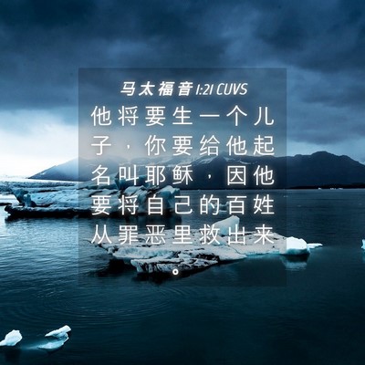 Picture 04 - 马 太 福 音 1:21 CUVS - 他 将 要 生 一 个 儿 子 ， 你 要 给 - Bible Verse Picture