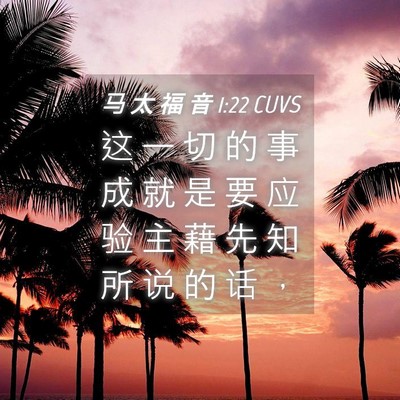 Picture 04 - 马 太 福 音 1:22 CUVS - 这 一 切 的 事 成 就 是 要 应 验 主 - Bible Verse Picture