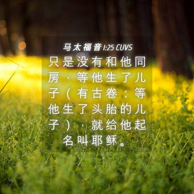 Picture 04 - 马 太 福 音 1:25 CUVS - 只 是 没 有 和 他 同 房 ， 等 他 生 - Bible Verse Picture