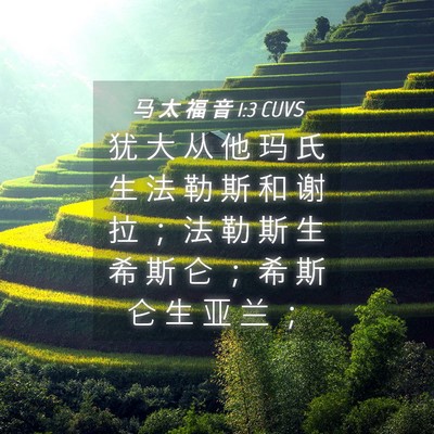Picture 04 - 马 太 福 音 1:3 CUVS - 犹 大 从 他 玛 氏 生 法 勒 斯 和 谢 - Bible Verse Picture
