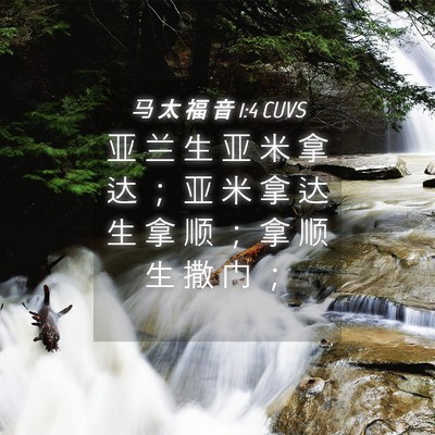 Picture 04 - 马 太 福 音 1:4 CUVS - 亚 兰 生 亚 米 拿 达 ； 亚 米 拿 达 - Bible Verse Picture