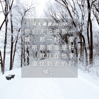 Picture 04 - 马 太 福 音 10:11 CUVS - 你 们 无 论 进 那 一 城 ， 那 一 村 - Bible Verse Picture