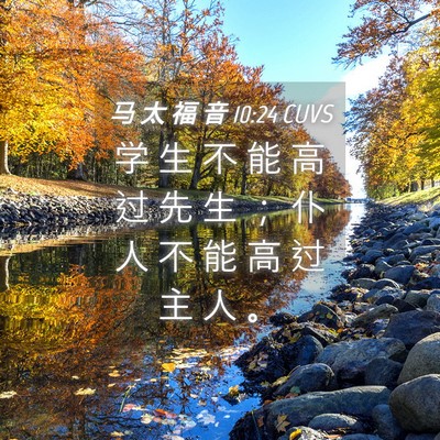 Picture 04 - 马 太 福 音 10:24 CUVS - 学 生 不 能 高 过 先 生 ； 仆 人 不 - Bible Verse Picture