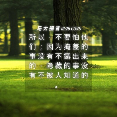 Picture 04 - 马 太 福 音 10:26 CUVS - 所 以 ， 不 要 怕 他 们 ； 因 为 掩 - Bible Verse Picture