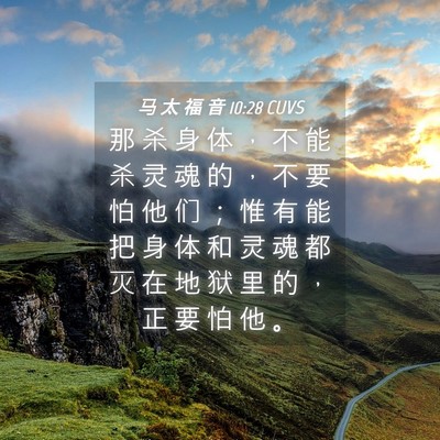 Picture 04 - 马 太 福 音 10:28 CUVS - 那 杀 身 体 ， 不 能 杀 灵 魂 的 ， - Bible Verse Picture