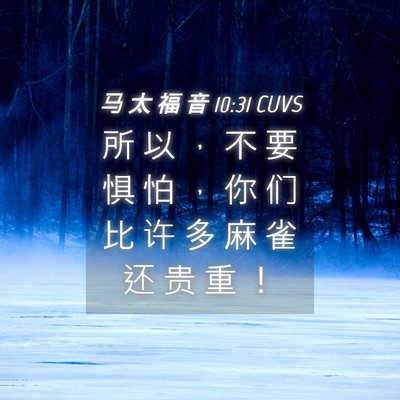Picture 04 - 马 太 福 音 10:31 CUVS - 所 以 ， 不 要 惧 怕 ， 你 们 比 许 - Bible Verse Picture
