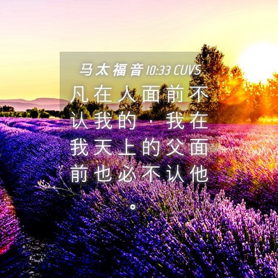 Picture 04 - 马 太 福 音 10:33 CUVS - 凡 在 人 面 前 不 认 我 的 ， 我 在 - Bible Verse Picture