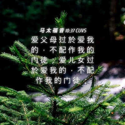 Picture 04 - 马 太 福 音 10:37 CUVS - 爱 父 母 过 於 爱 我 的 ， 不 配 作 - Bible Verse Picture