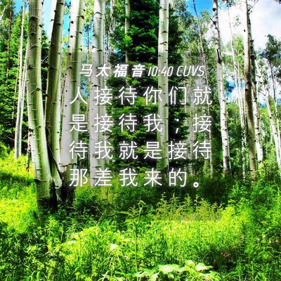 Picture 04 - 马 太 福 音 10:40 CUVS - 人 接 待 你 们 就 是 接 待 我 ； 接 - Bible Verse Picture