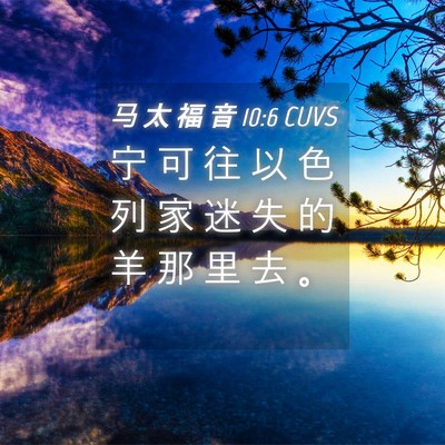 Picture 04 - 马 太 福 音 10:6 CUVS - 宁 可 往 以 色 列 家 迷 失 的 羊 那 - Bible Verse Picture