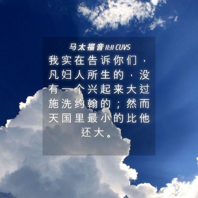 Picture 04 - 马 太 福 音 11:11 CUVS - 我 实 在 告 诉 你 们 ， 凡 妇 人 所 - Bible Verse Picture