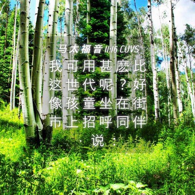 Picture 04 - 马 太 福 音 11:16 CUVS - 我 可 用 甚 麽 比 这 世 代 呢 ？ 好 - Bible Verse Picture