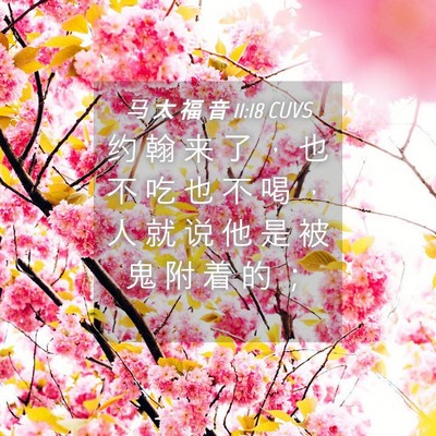 Picture 04 - 马 太 福 音 11:18 CUVS - 约 翰 来 了 ， 也 不 吃 也 不 喝 ， - Bible Verse Picture