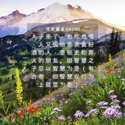 Picture 04 - 马 太 福 音 11:19 CUVS - 人 子 来 了 ， 也 吃 也 喝 ， 人 又 - Bible Verse Picture