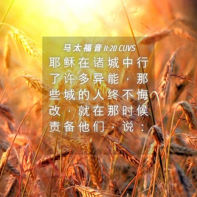 Picture 04 - 马 太 福 音 11:20 CUVS - 耶 稣 在 诸 城 中 行 了 许 多 异 能 - Bible Verse Picture