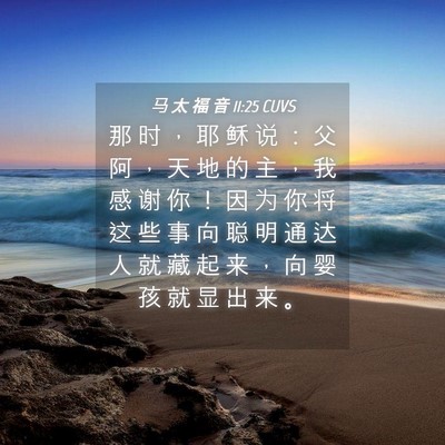 Picture 04 - 马 太 福 音 11:25 CUVS - 那 时 ， 耶 稣 说 ： 父 阿 ， 天 地 - Bible Verse Picture