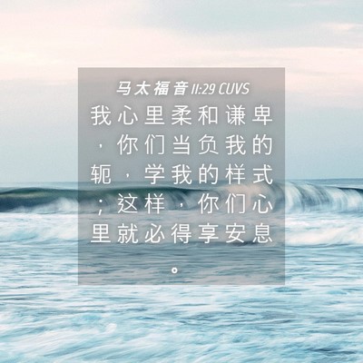 Picture 04 - 马 太 福 音 11:29 CUVS - 我 心 里 柔 和 谦 卑 ， 你 们 当 负 - Bible Verse Picture