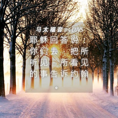Picture 04 - 马 太 福 音 11:4 CUVS - 耶 稣 回 答 说 ： 你 们 去 ， 把 所 - Bible Verse Picture