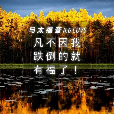 Picture 04 - 马 太 福 音 11:6 CUVS - 凡 不 因 我 跌 倒 的 就 有 福 了 - Bible Verse Picture