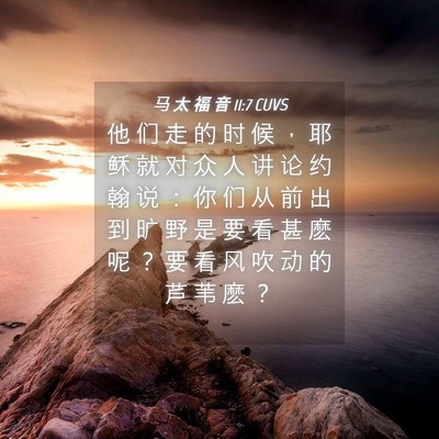 Picture 04 - 马 太 福 音 11:7 CUVS - 他 们 走 的 时 候 ， 耶 稣 就 对 众 - Bible Verse Picture