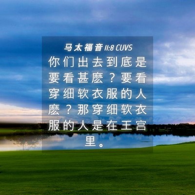 Picture 04 - 马 太 福 音 11:8 CUVS - 你 们 出 去 到 底 是 要 看 甚 麽 ？ - Bible Verse Picture