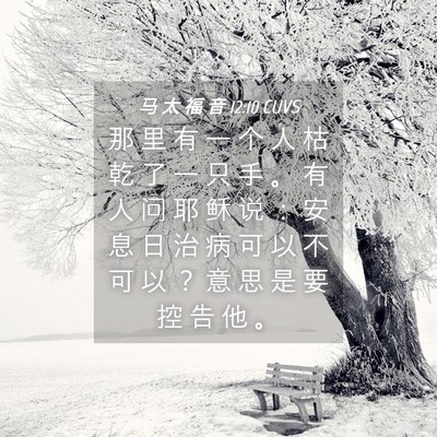 Picture 04 - 马 太 福 音 12:10 CUVS - 那 里 有 一 个 人 枯 乾 了 一 只 手 - Bible Verse Picture