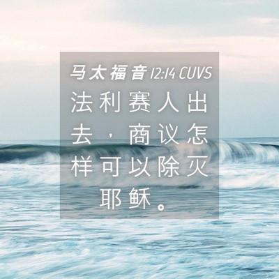 Picture 04 - 马 太 福 音 12:14 CUVS - 法 利 赛 人 出 去 ， 商 议 怎 样 可 - Bible Verse Picture