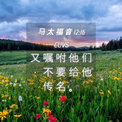 Picture 04 - 马 太 福 音 12:16 CUVS - 又 嘱 咐 他 们 ， 不 要 给 他 传 名 - Bible Verse Picture