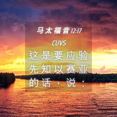 Picture 04 - 马 太 福 音 12:17 CUVS - 这 是 要 应 验 先 知 以 赛 亚 的 话 - Bible Verse Picture