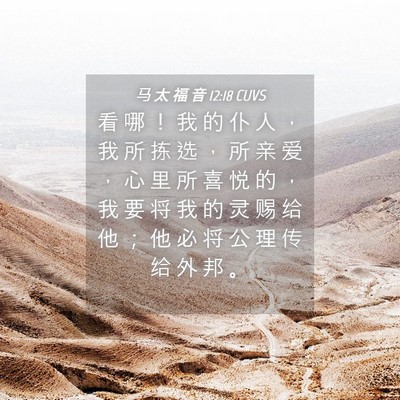 Picture 04 - 马 太 福 音 12:18 CUVS - 看 哪 ！ 我 的 仆 人 ， 我 所 拣 选 - Bible Verse Picture