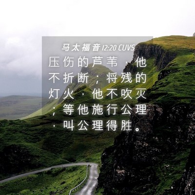Picture 04 - 马 太 福 音 12:20 CUVS - 压 伤 的 芦 苇 ， 他 不 折 断 ； 将 - Bible Verse Picture