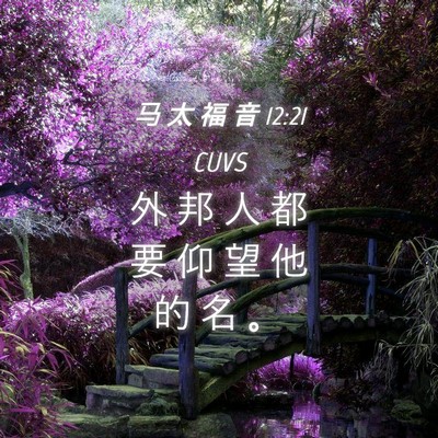 Picture 04 - 马 太 福 音 12:21 CUVS - 外 邦 人 都 要 仰 望 他 的 名 - Bible Verse Picture