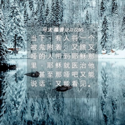 Picture 04 - 马 太 福 音 12:22 CUVS - 当 下 ， 有 人 将 一 个 被 鬼 附 着 - Bible Verse Picture
