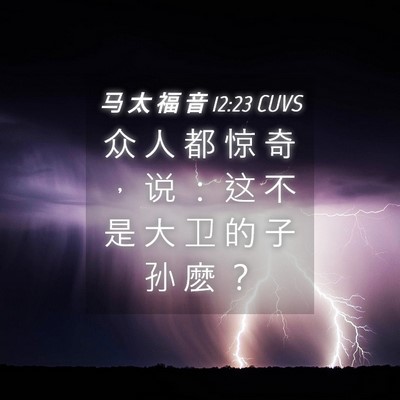 Picture 04 - 马 太 福 音 12:23 CUVS - 众 人 都 惊 奇 ， 说 ： 这 不 是 大 - Bible Verse Picture