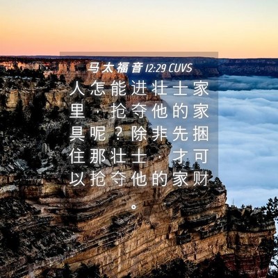 Picture 04 - 马 太 福 音 12:29 CUVS - 人 怎 能 进 壮 士 家 里 ， 抢 夺 他 - Bible Verse Picture