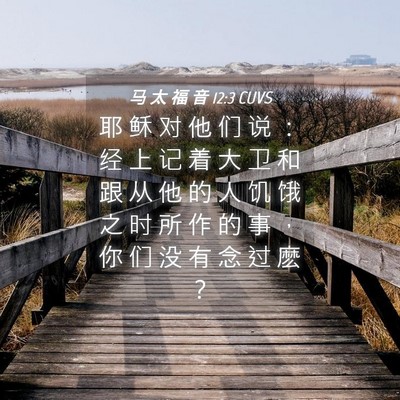Picture 04 - 马 太 福 音 12:3 CUVS - 耶 稣 对 他 们 说 ： 经 上 记 着 大 - Bible Verse Picture
