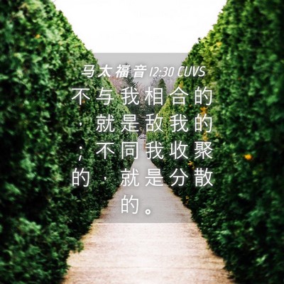 Picture 04 - 马 太 福 音 12:30 CUVS - 不 与 我 相 合 的 ， 就 是 敌 我 的 - Bible Verse Picture