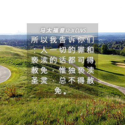 Picture 04 - 马 太 福 音 12:31 CUVS - 所 以 我 告 诉 你 们 ： 人 一 切 的 - Bible Verse Picture