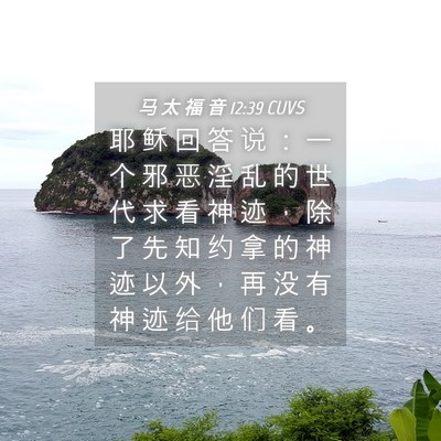 Picture 04 - 马 太 福 音 12:39 CUVS - 耶 稣 回 答 说 ： 一 个 邪 恶 淫 乱 - Bible Verse Picture