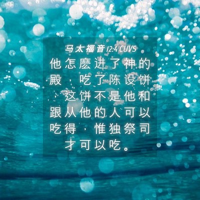Picture 04 - 马 太 福 音 12:4 CUVS - 他 怎 麽 进 了 神 的 殿 ， 吃 了 陈 - Bible Verse Picture